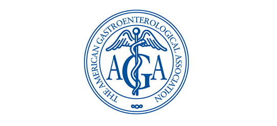 The American Gastroenterological Association